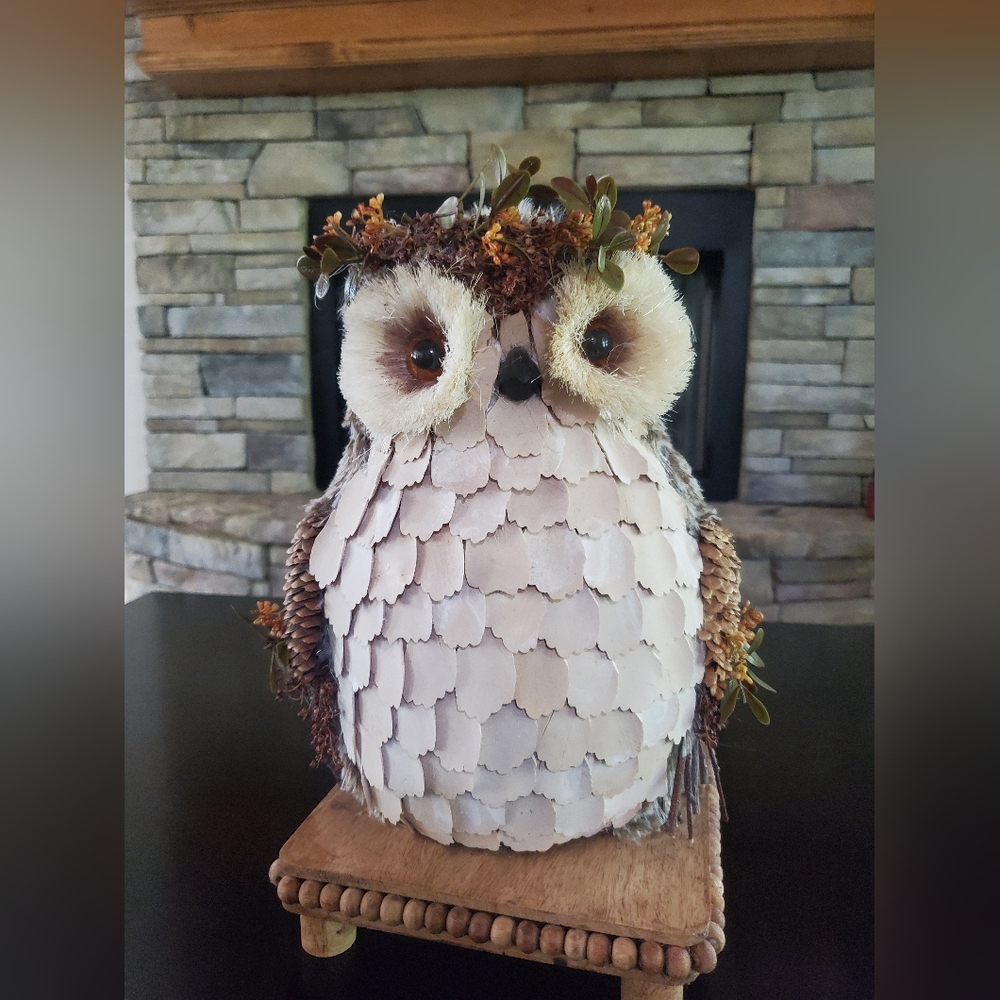 Gorgeous Woodland Owl Decor-NWT